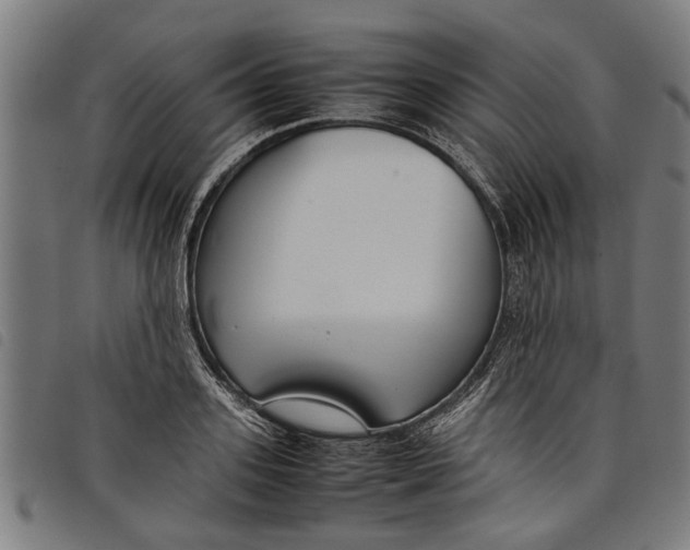 X0000097800939200804041311