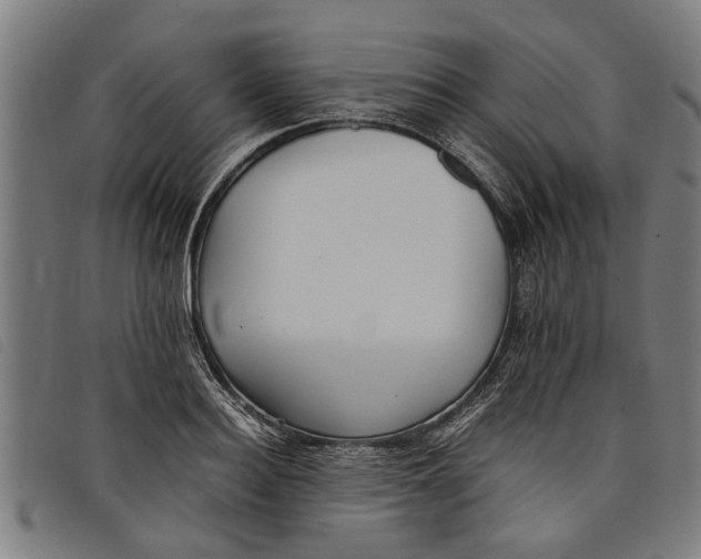 X0000097800940200804041311