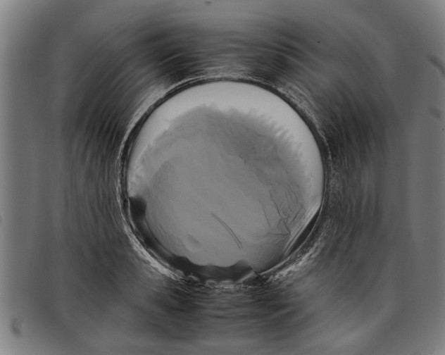 X0000097800941200804041311