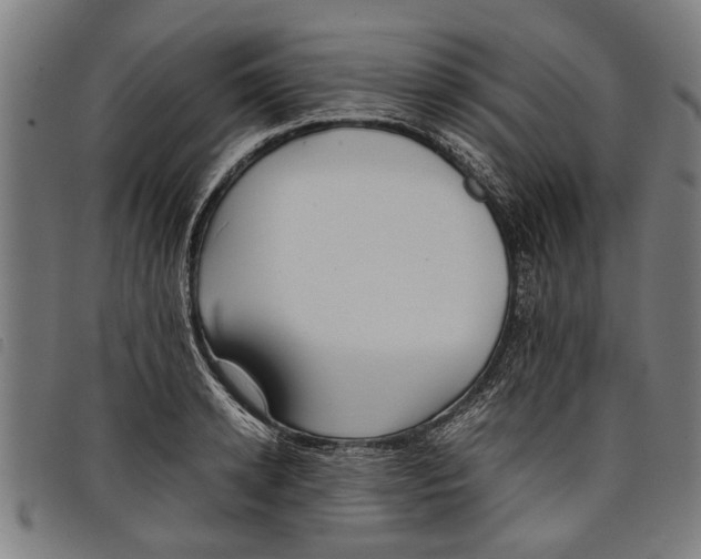 X0000097800942200804041311