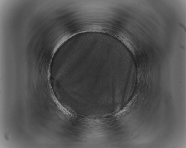 X0000097800944200804041311