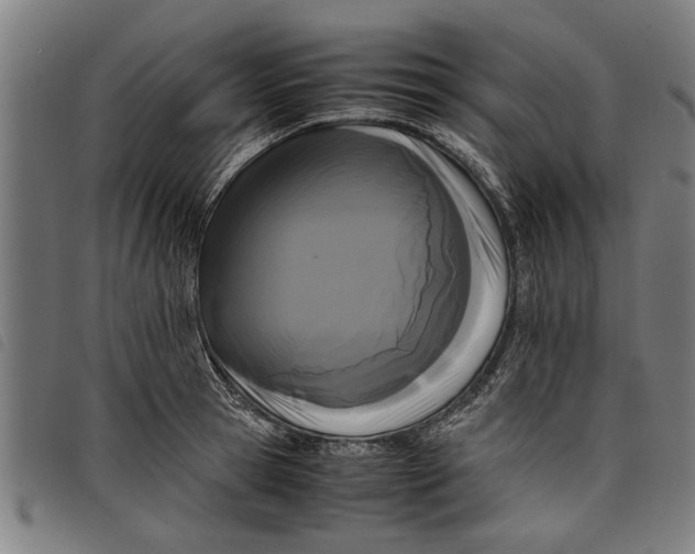 X0000097800945200804041311