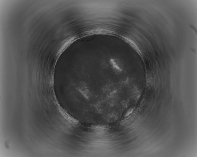 X0000097800946200804041311