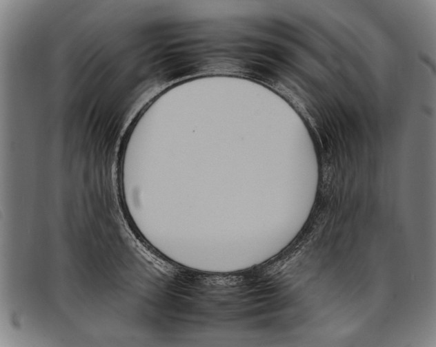 X0000097800947200804041311