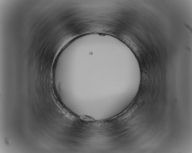 X0000097800948200804041311