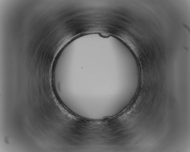 X0000097800949200804041311