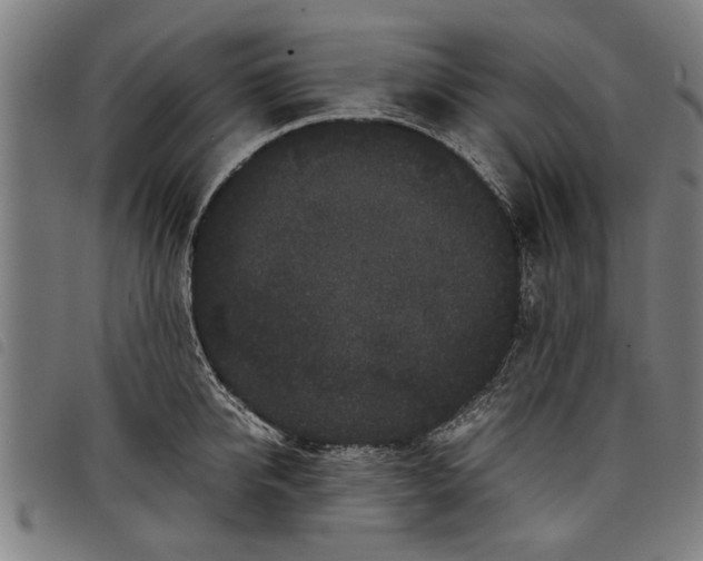 X0000097800950200804041311