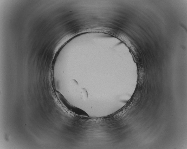 X0000097800952200804041311