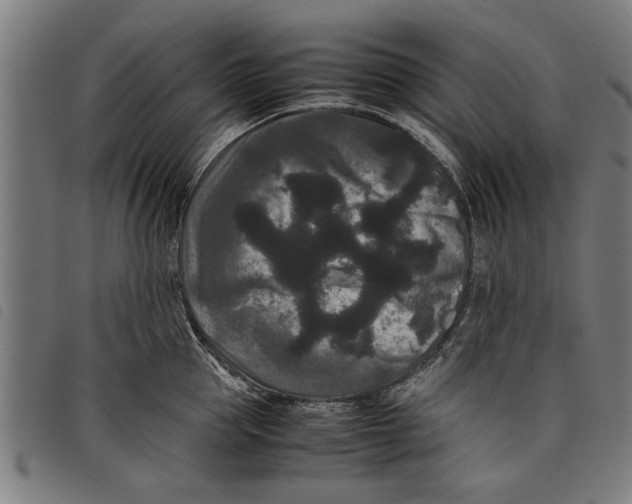 X0000097800953200804041311