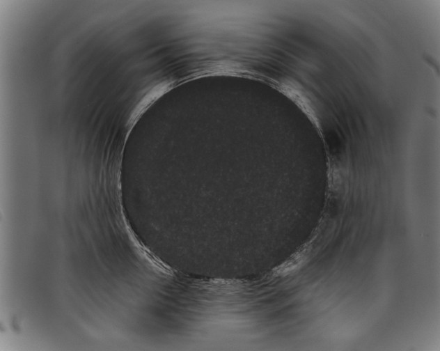 X0000097800954200804041311