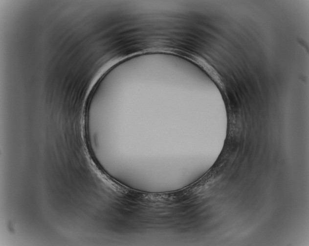 X0000097800955200804041311