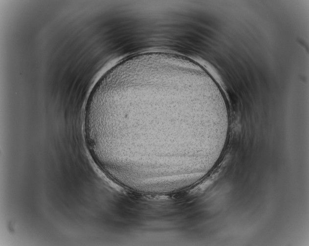 X0000097800957200804041311