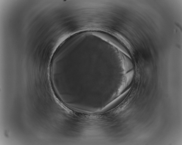 X0000097800958200804041311