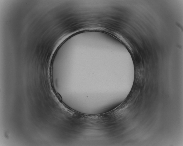 X0000097800959200804041311