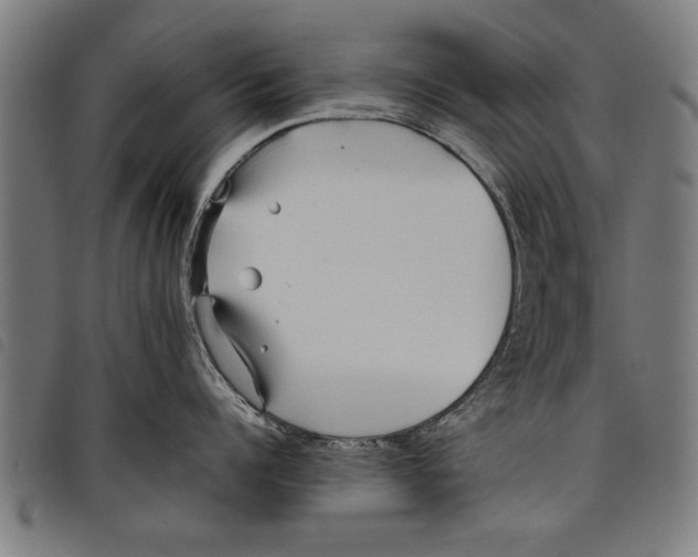 X0000097800960200804041311