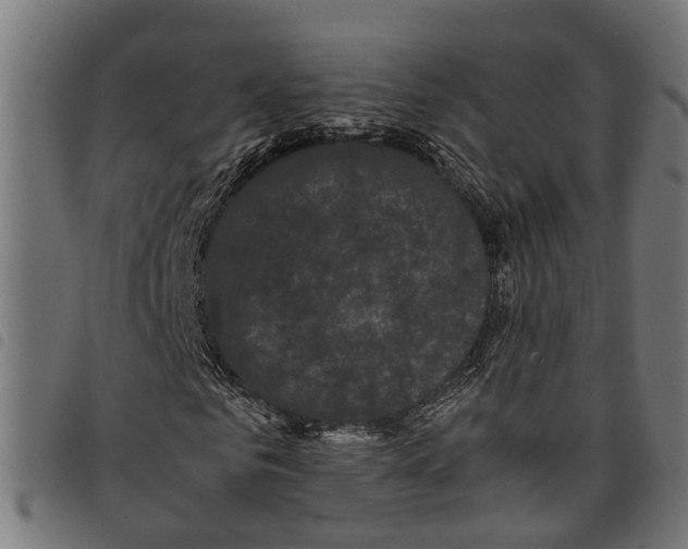 X0000097800961200804041311