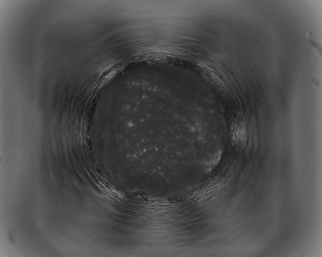 X0000097800964200804041311