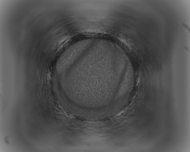 X0000097800965200804041311