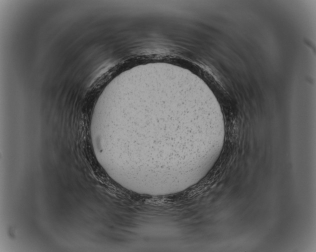 X0000097800967200804041311