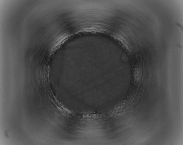 X0000097800968200804041311