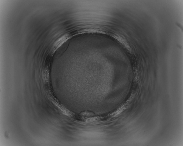 X0000097800969200804041310