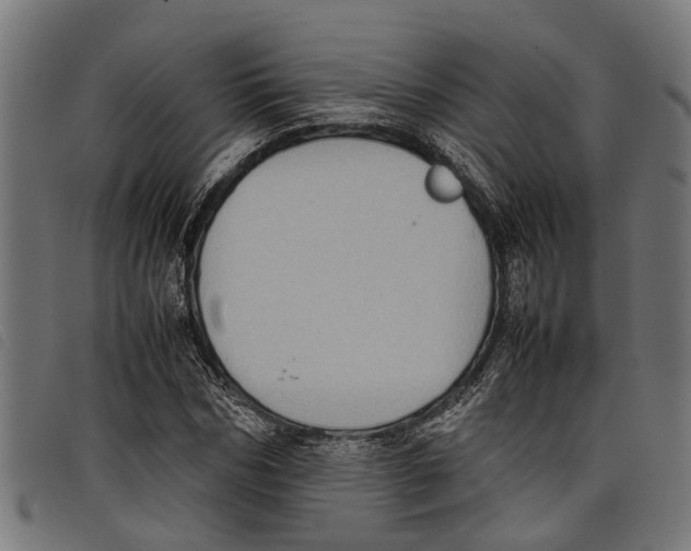 X0000097800970200804041310