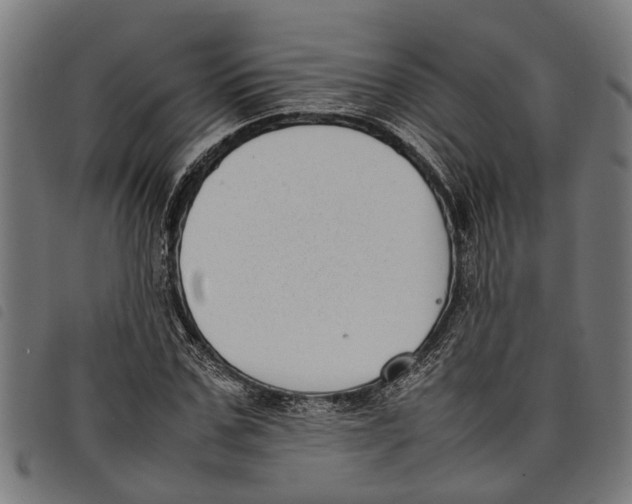 X0000097800971200804041310