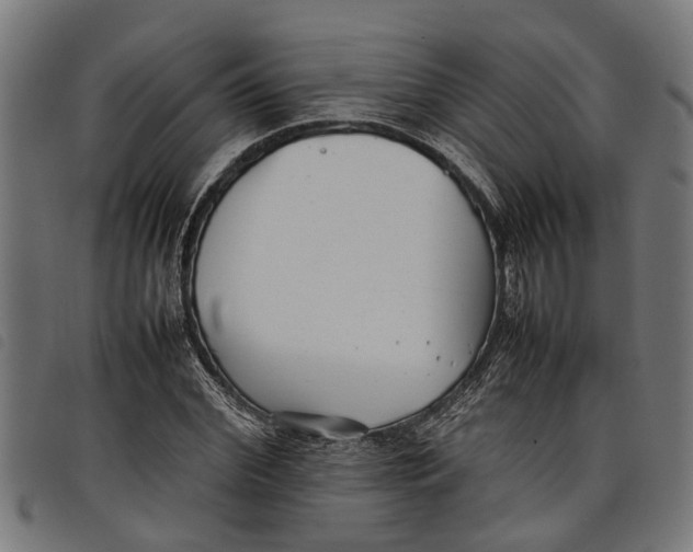 X0000097800972200804041310