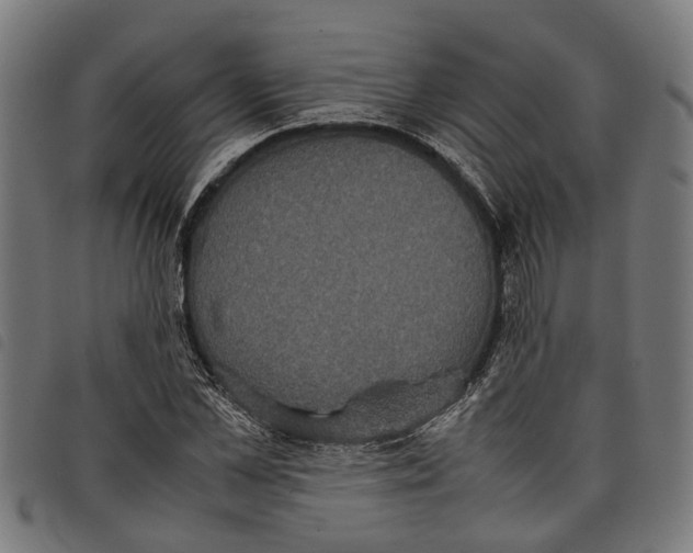 X0000097800973200804041310