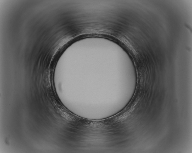 X0000097800974200804041310