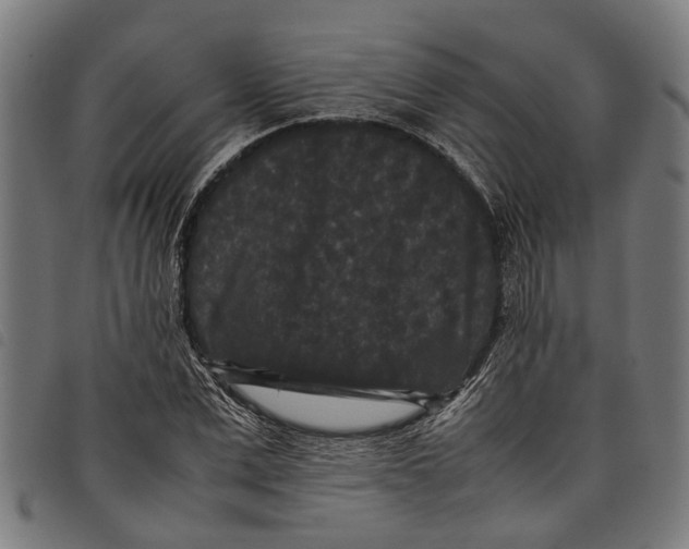 X0000097800975200804041310