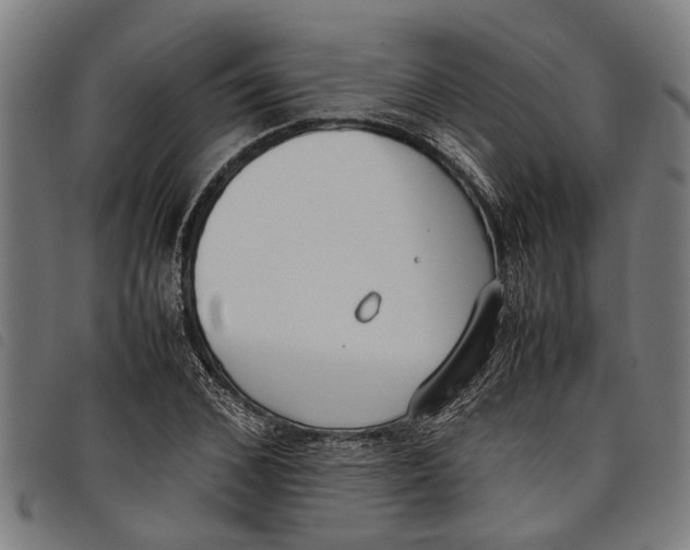 X0000097800976200804041310