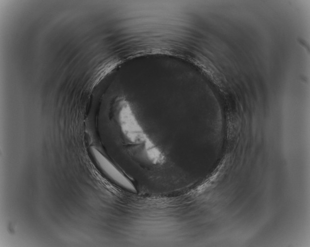 X0000097800977200804041310