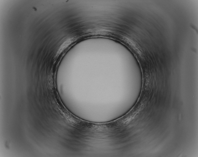 X0000097800978200804041310