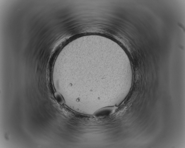 X0000097800979200804041310