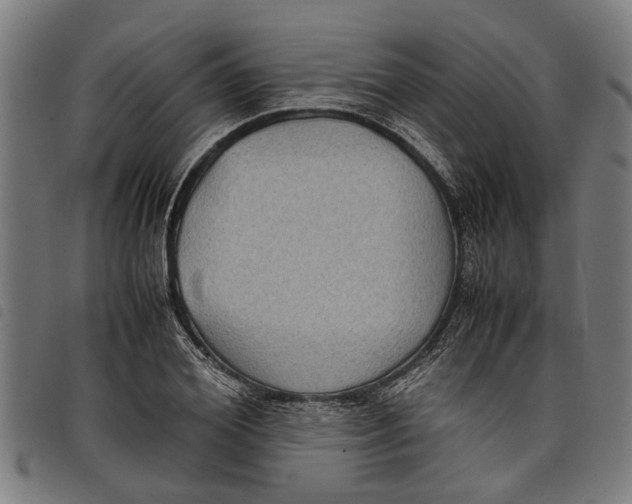 X0000097800980200804041310