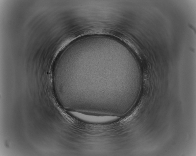 X0000097800981200804041310