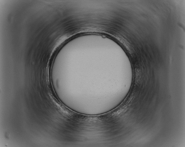 X0000097800982200804041310