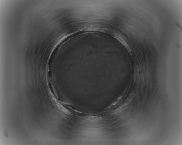 X0000097800984200804041310