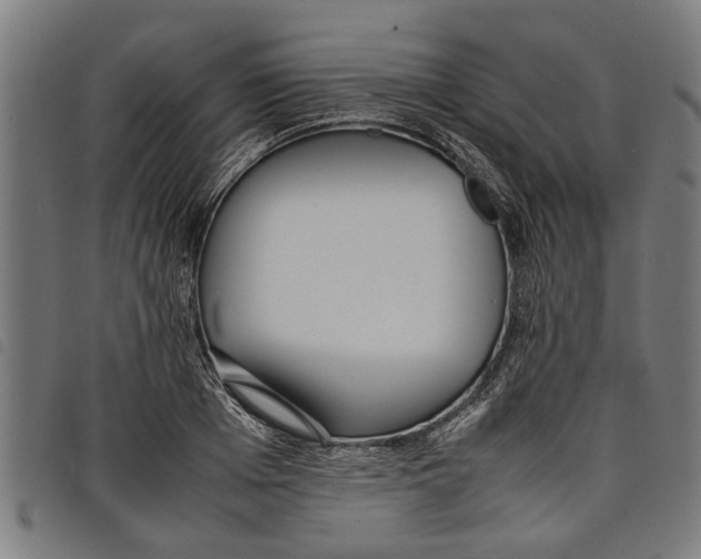 X0000097800985200804041310