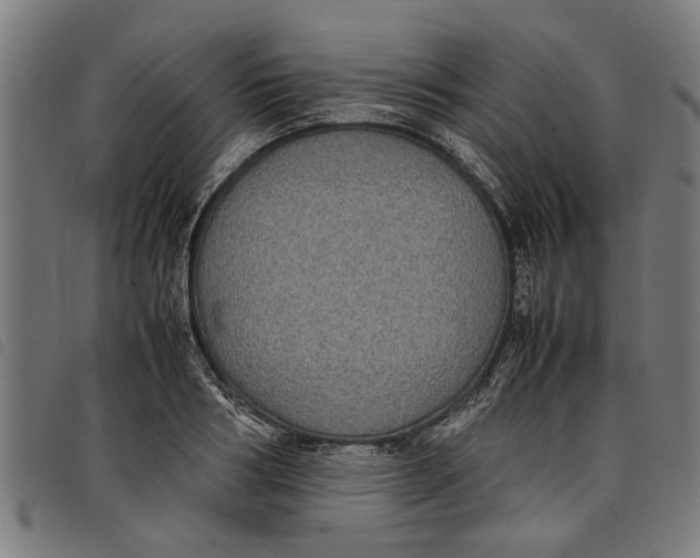 X0000097800986200804041310