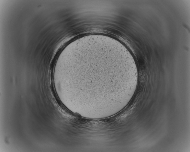 X0000097800987200804041310