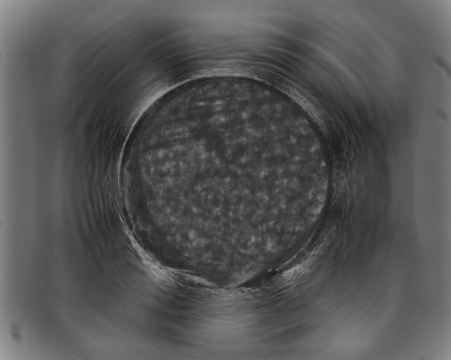 X0000097800988200804041310