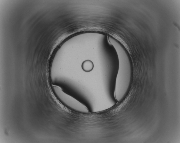 X0000097800989200804041310