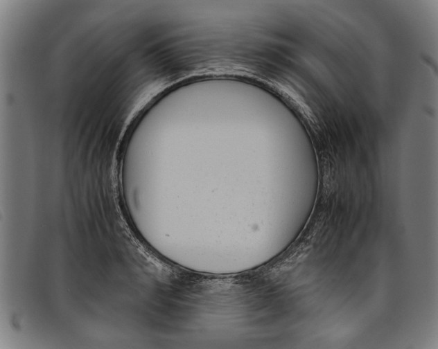 X0000097800990200804041310