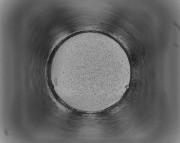 X0000097800991200804041310