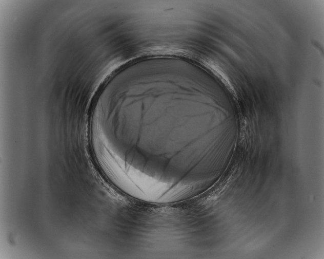 X0000097800992200804041310