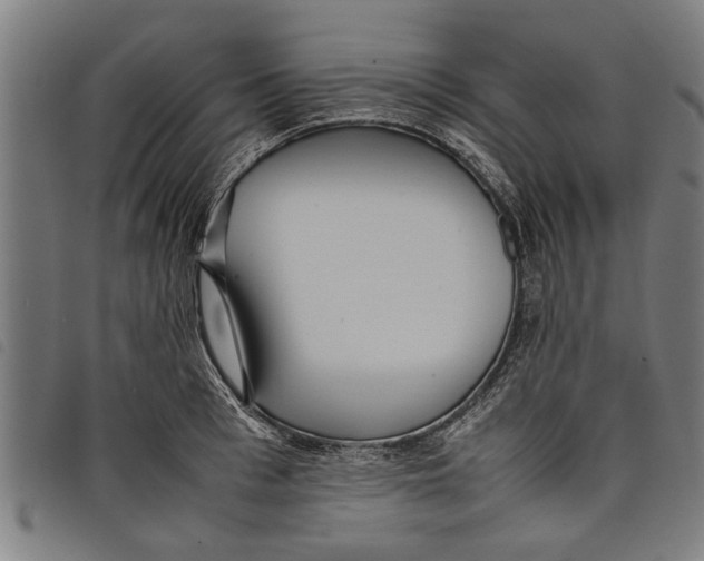 X0000097800993200804041310