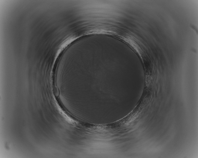 X0000097800995200804041310