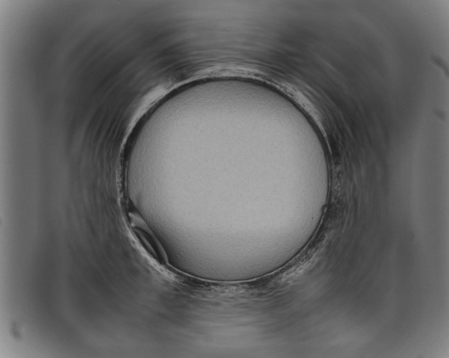 X0000097800997200804041310